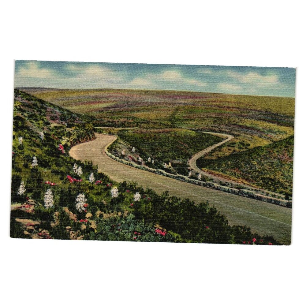 Vintage Scenic Drive Through Carlsbad Caverns National Park Postcard New Mexico
